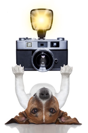 Dog holding a camera